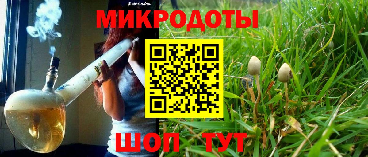 Галлюциногенные грибы Magic Shrooms  купить   Ессентуки  Вход с VPN 